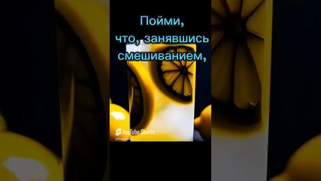 28 октября 2024 г..mp4