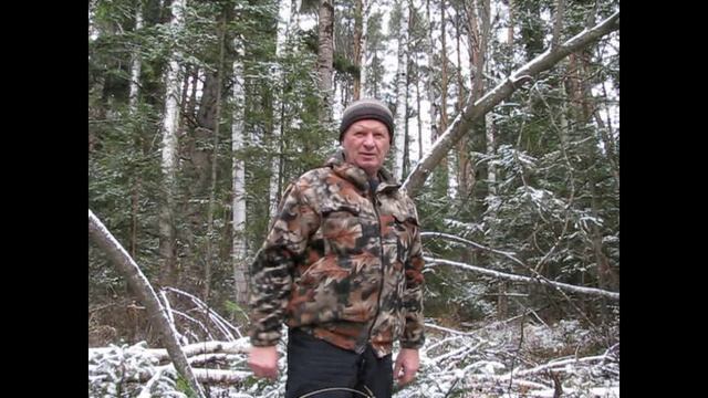 Дорога в мир природы