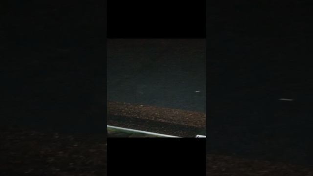 1000013215.mp4