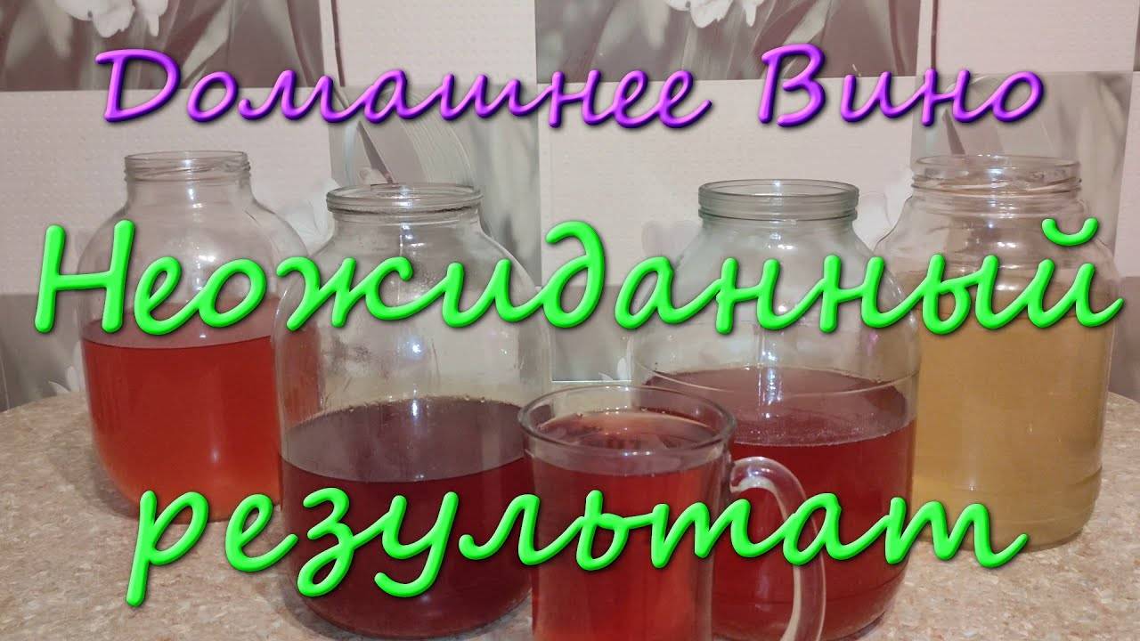 Домашнее Вино Простой Рецепт Красного Вина В Домашних Условиях