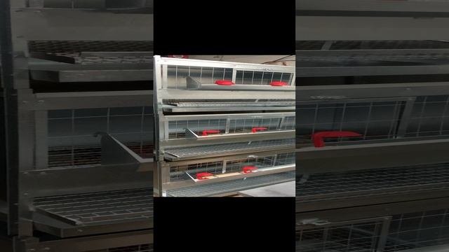 Клетки для кур несушек