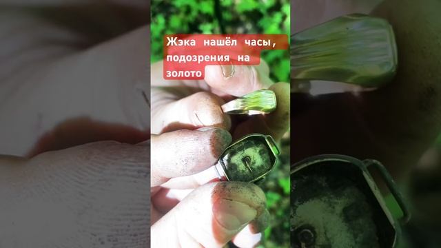 Нашёл часики #рекомендации #клад #коп