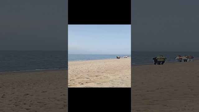 VID20241027123157.mp4