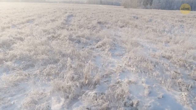 Извержение, расколовшее остров и изменившее будущее Земли