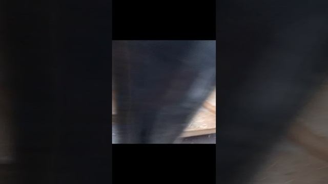 1000019413.mp4