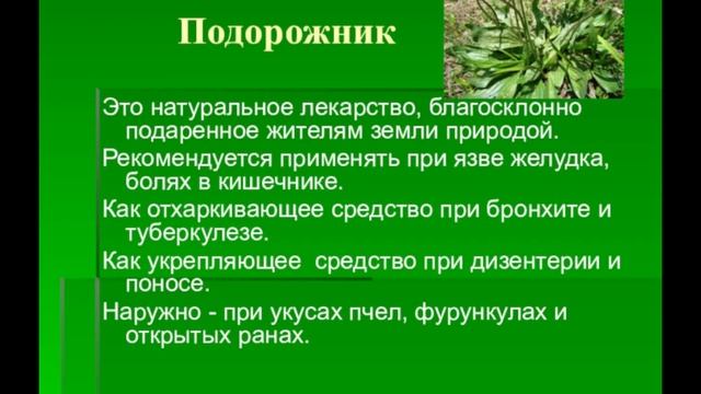 Большекударинская сельская библиотека