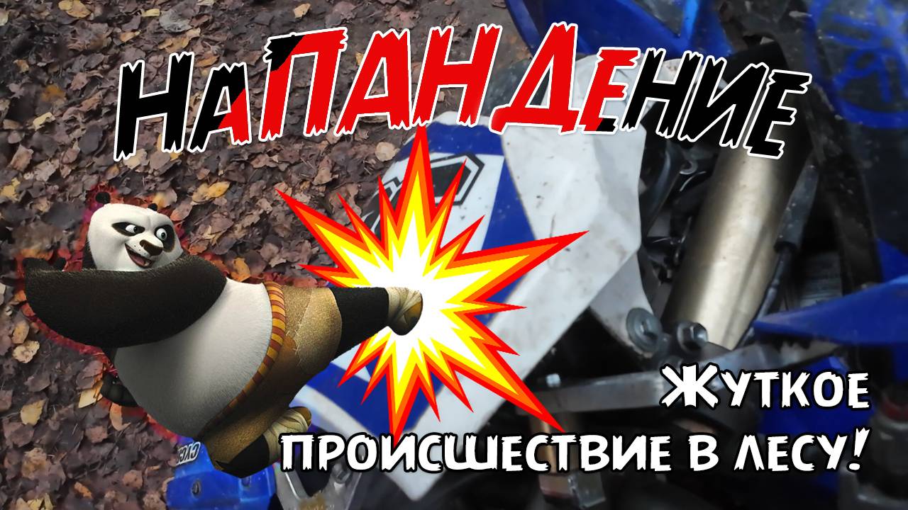 НаПАНДЕние на эндуриста в лесу! Шок-контент ))