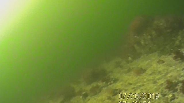 белое море 2024 на рыбалке под водой