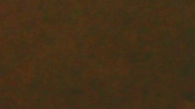 ОСЕННИЙ МИНИ-БЛОГ №1195 ПОРА ПО БУТОВО ГУЛЯТЬ...