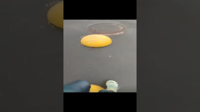 1000029948.mp4