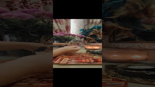 1000016204.mp4