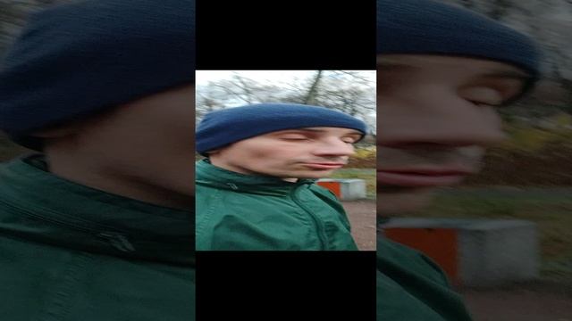 Однажды в лесу | День 499✅