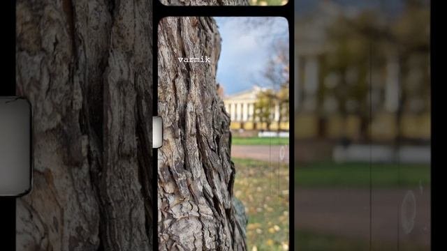 влог
