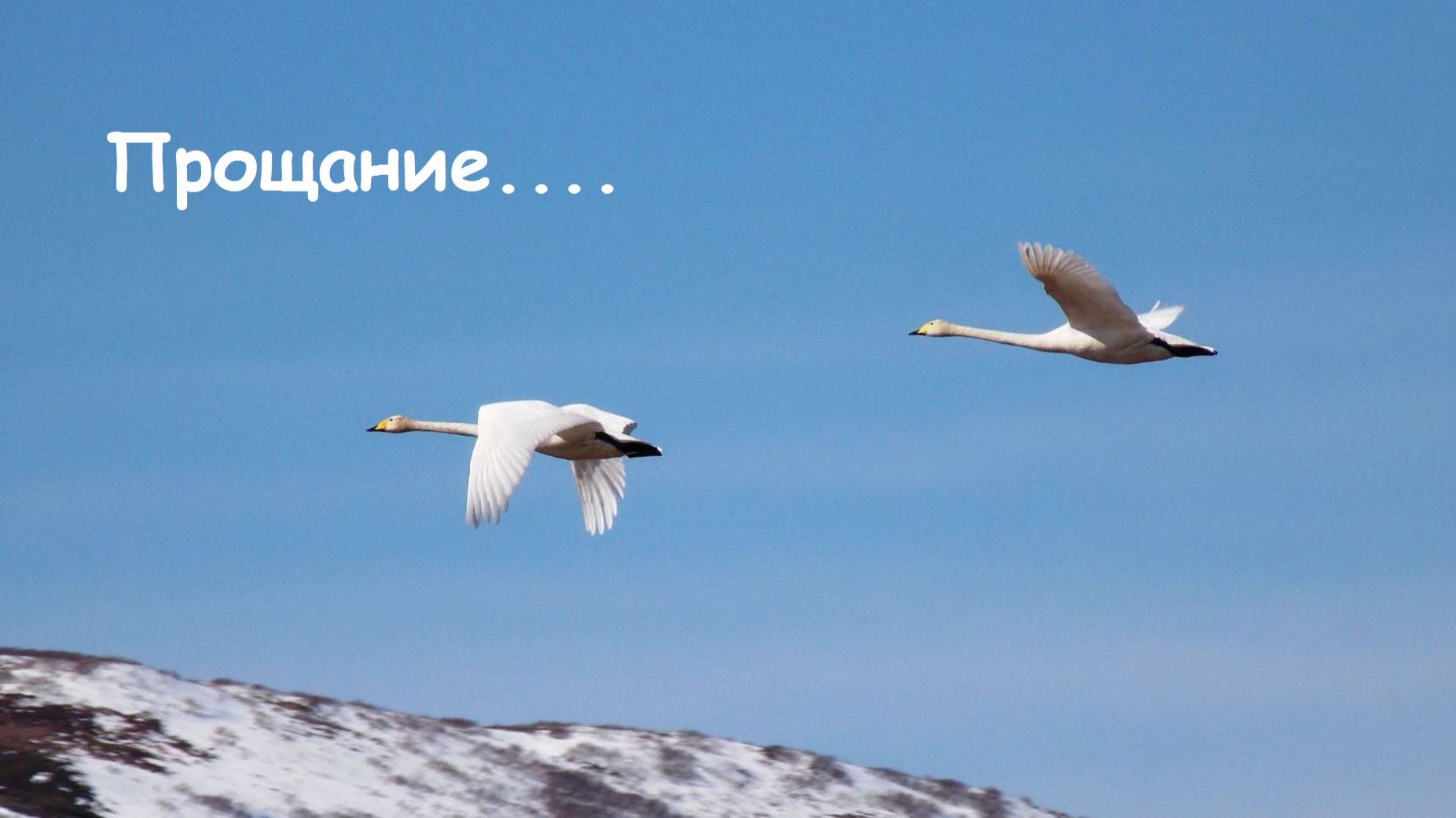 Прощание....