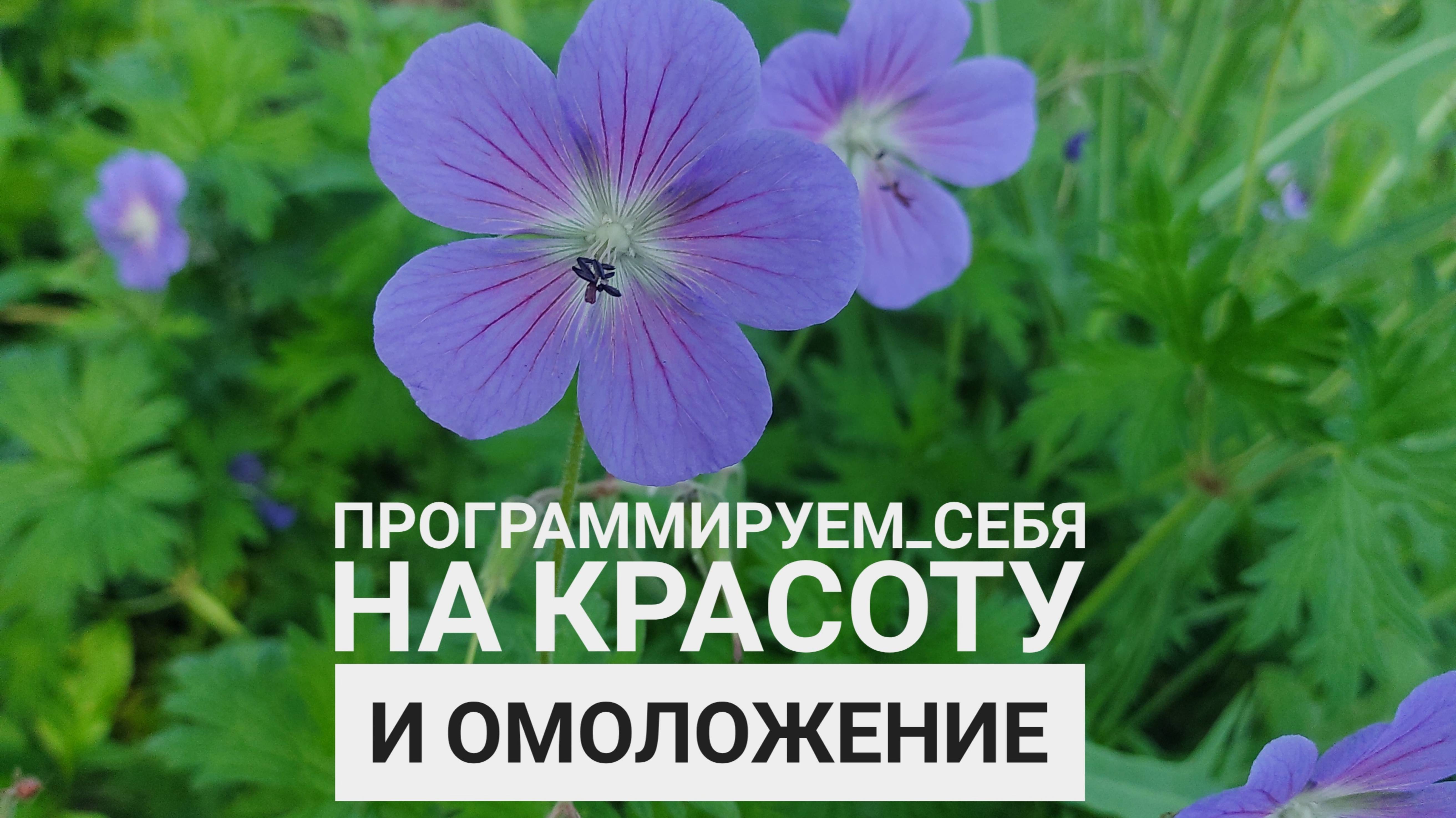 🌺 Как программировать себя на омоложение и красоту 🌸✨
