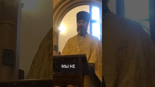 Проповедь отца Николая (Иоанн Златоуст) 3