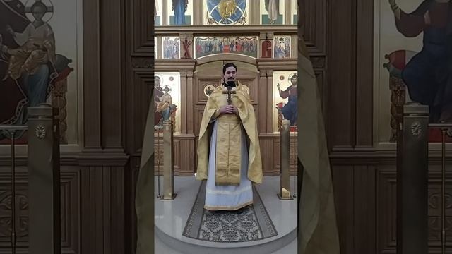...Да возьмёт крест свой... Культ страданий в православии? Проповедь о. Вячеслава. 29.10.24