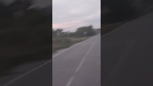 Катарсис