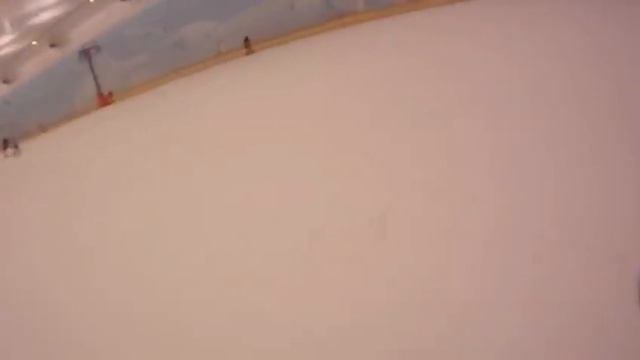 2012-01-09 Снежком
