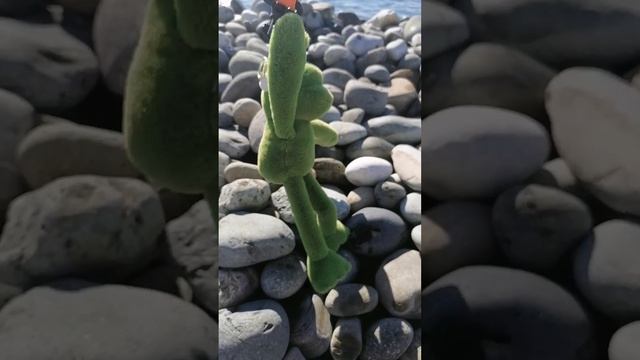Лягушонок танцует на море