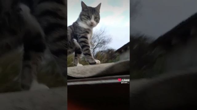 1000119500.mp4