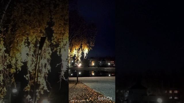 осень в городах