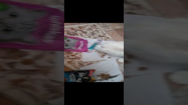 битва кормов whiskas,felix,плати меньше живи лучше