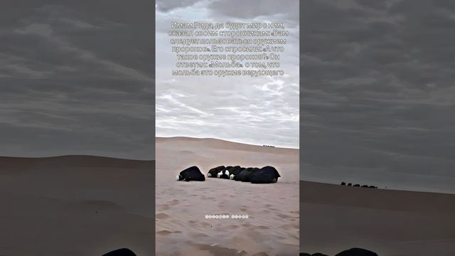 VID-20241029-WA0006.mp4