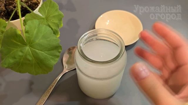 Натуральная домашняя подкормка для всех цветов🌼 Любой цветок мигом зеленеет и пышно ✨