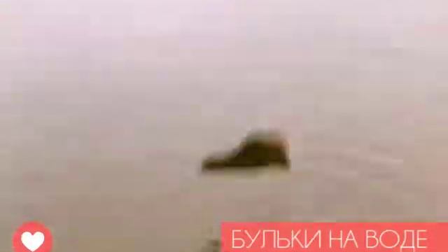 ЮЛИЯ ЛЕЩИНСКАЯ БУЛЬКИ НА ВОДЕ