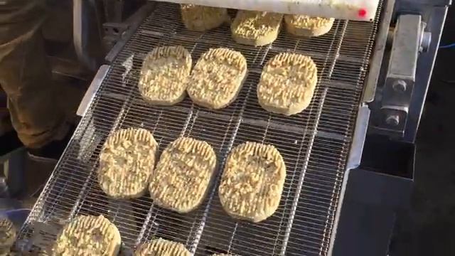 Формовочная машина CFS VM 400 HSE Koppens