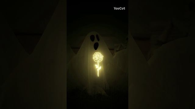 YouCut_20241029_114509319.mp4