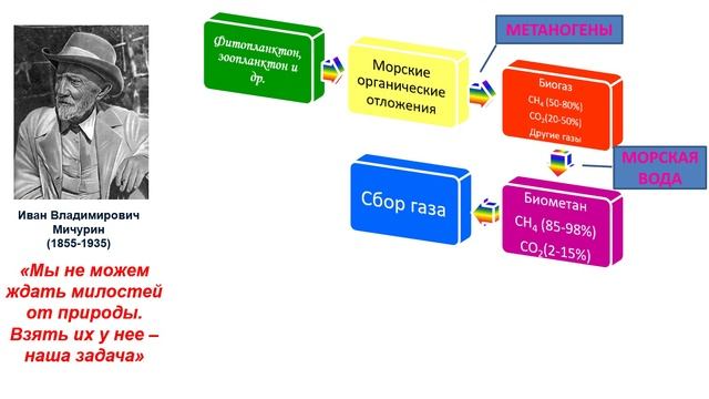 Биогазоносность Азовского моря