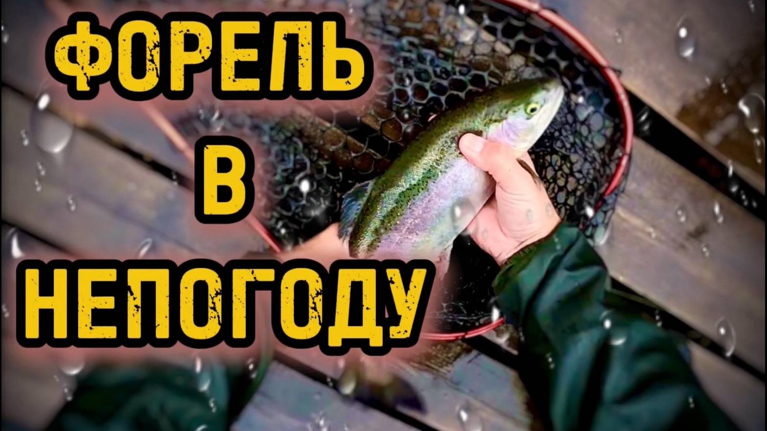 РЫБАЛКА В НЕПОГОДУ. ЛОВЛЯ ФОРЕЛИ ПОД ЗВУКИ ДОЖДЯ