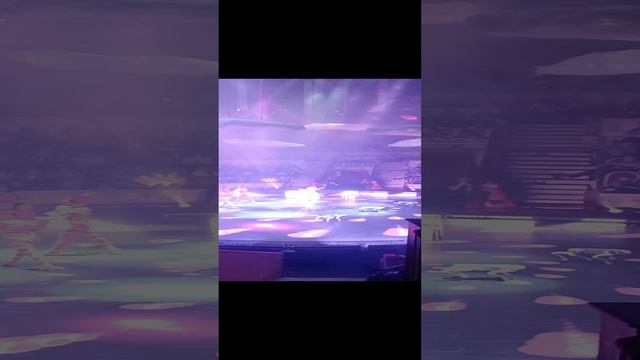 Фрагменты шоу «WOW» в Цирке Чинизелли  26.10.2024 - 1