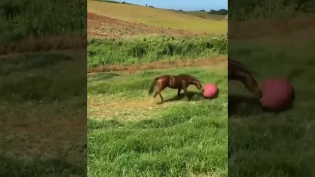 Настоящий артист.