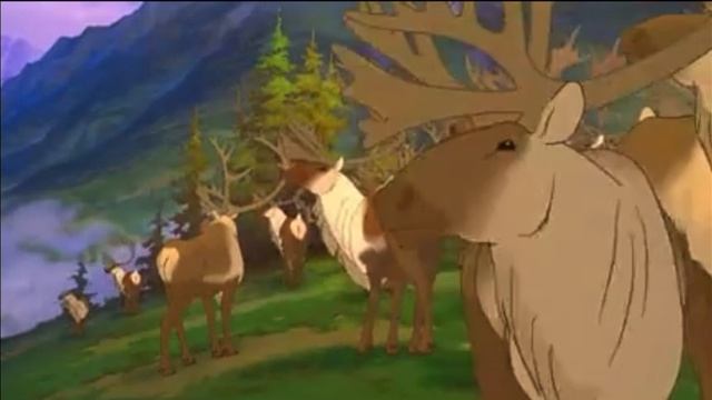 Человек стал медведем