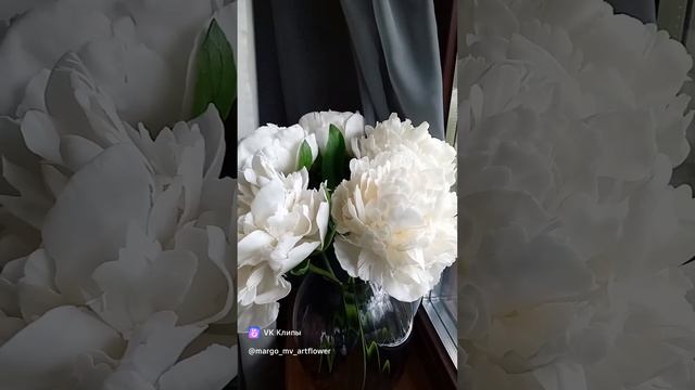 clip38863343_456240036.mp4
