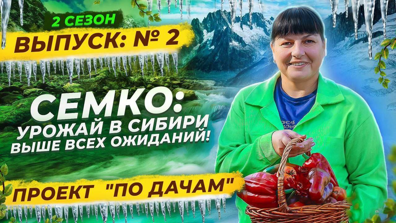 702.2. УРОЖАЙ, КОТОРОМУ ПОЗАВИДУЕТ СИБИРЬ - ОГОРОД В НОВОСИБИРСКЕ  _ «ПО ДАЧАМ» _ 2 сезон 2 серия