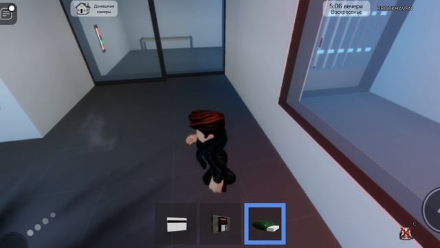 Как украсть все мешки из банка в Roblox Brookhaven