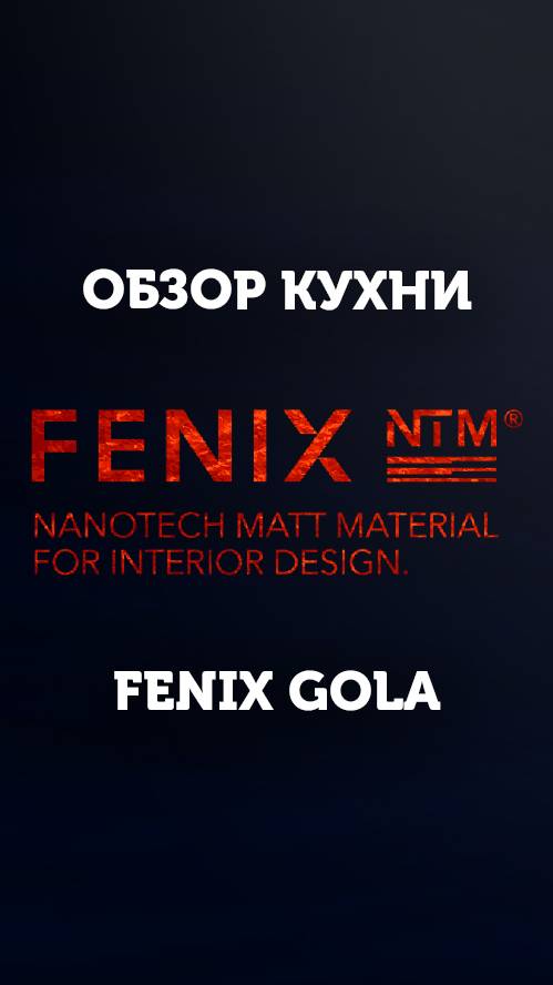 Кухонный гарнитур_FENIX от Кухни Ремиз