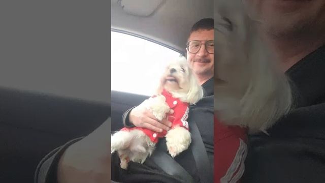 Везу Микаэля на стрижку
