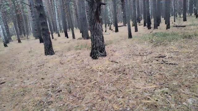 Если честно! Ооочень устала!