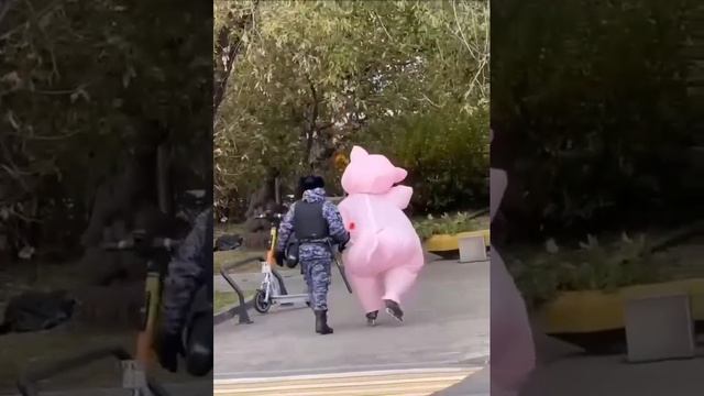 Прикол mp4