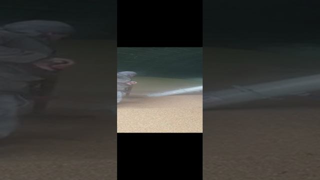 vid-20221221-wa0037