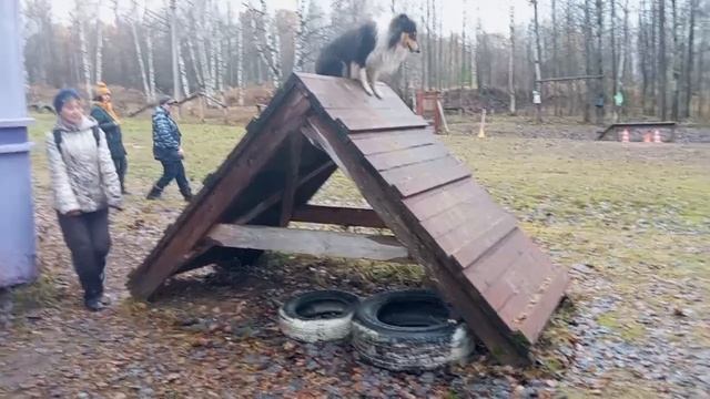 Зайка. Сдача ОКД. Снаряды.