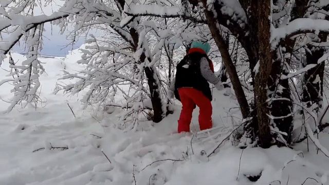 Снегурочка - Еду, тихо, слышны звоны под копытом на снегу