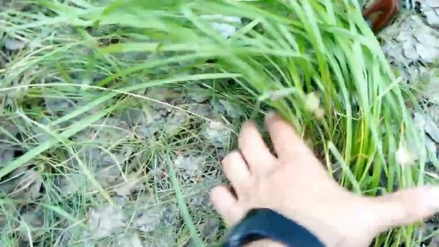 Как сохранить продукты в походе: метод закапывания в землю