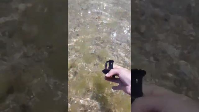 поиск сокровищ