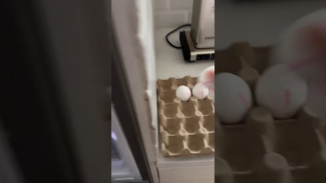 How to store eggs